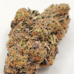 Afghani Bullrider (QUADS/4A)