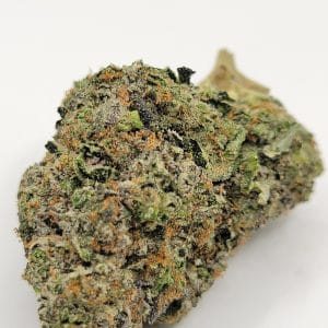 Animal Face (QUADS/4A)