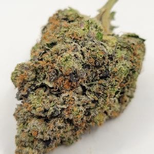 Apple Fritter (TOP-SHELF/5A)
