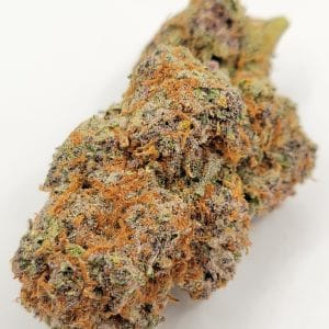 GMO Cookies (QUADS/4A)