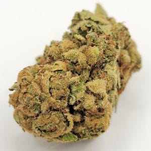 Lemon Drops (DUBS/2A)