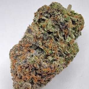 Pink Chapo LSO (TOP-SHELF/5A)