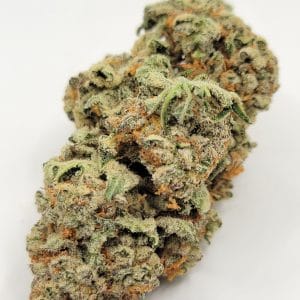 Pink Kush (QUADS/4A)