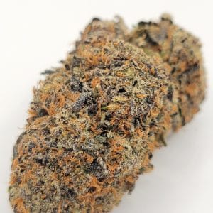 Pink Runtz (QUADS/4A)