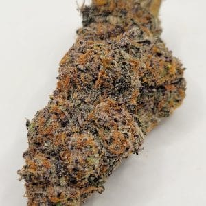 Platinum Rockstar (QUADS/4A)