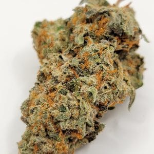 Rockstar Tuna (QUADS/4A)