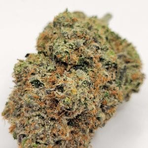 Pink Wagyu (TOP-SHELF/5A)