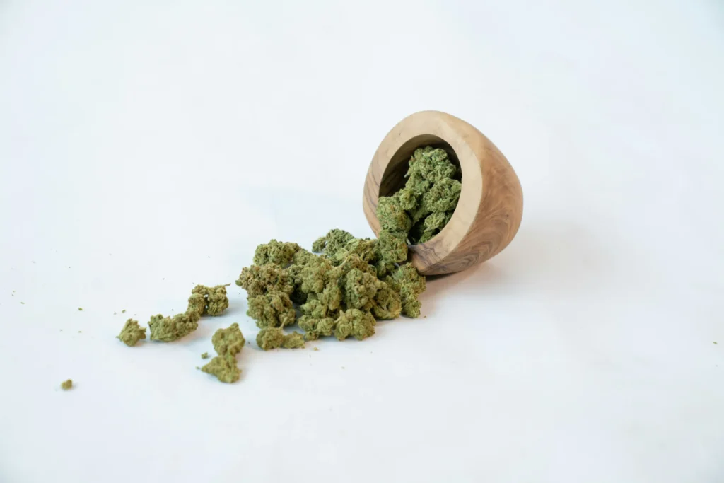 Tipped wooden bowl spilling dried cannabis buds on a white background.