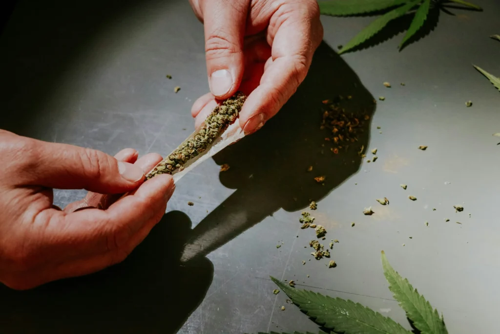 Hands with tattoos roll a joint using ground cannabis on a rolling paper, with cannabis leaves and scattered buds in the background.