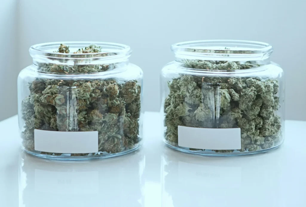 Two glass jars filled with cannabis buds on a white surface, with a bright window in the background.