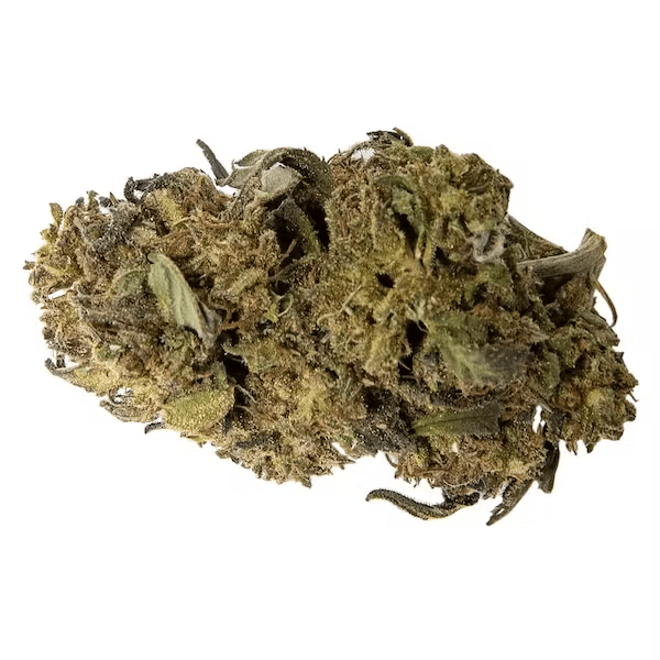 AAAA-5.png Buddy Blooms (AA - Indica) - Image 1