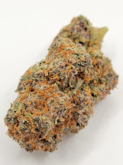 GMO Cookies (QUADS/4A)