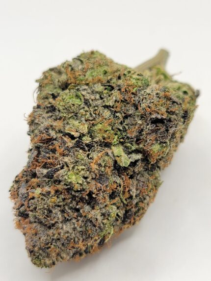 Ice Cream Cake (TOP-SHELF/5A)