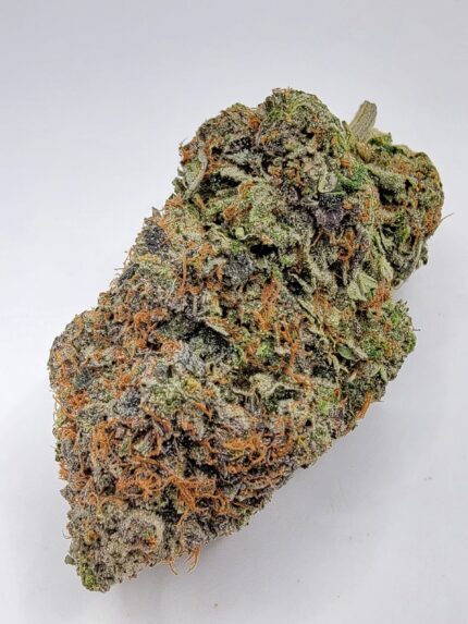 Pink Chapo LSO (TOP-SHELF/5A)