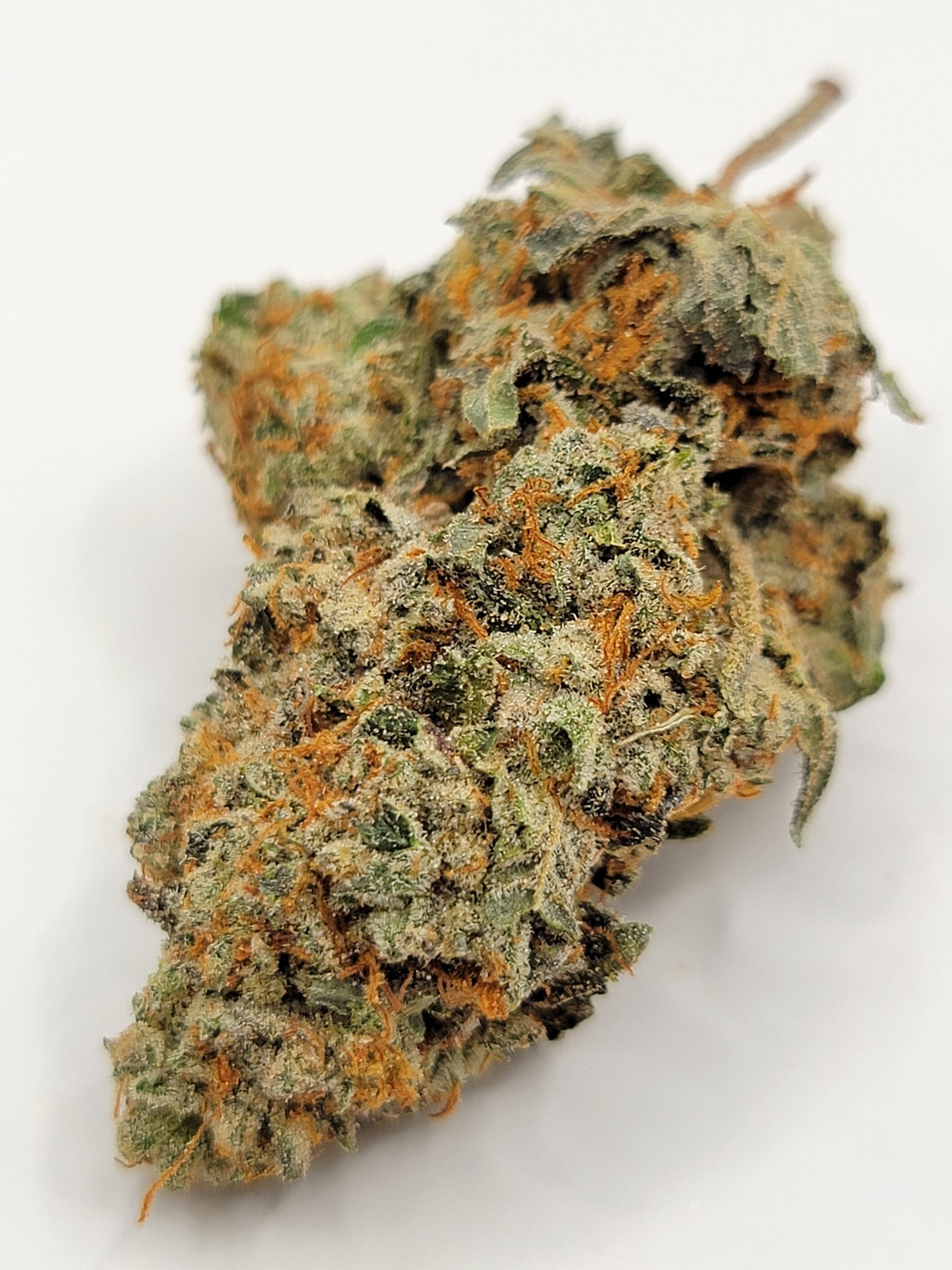 weedistillery-rockstar-tuna-quads-4a-scaled-1.jpg Rockstar Tuna (QUADS/4A) - Image 1