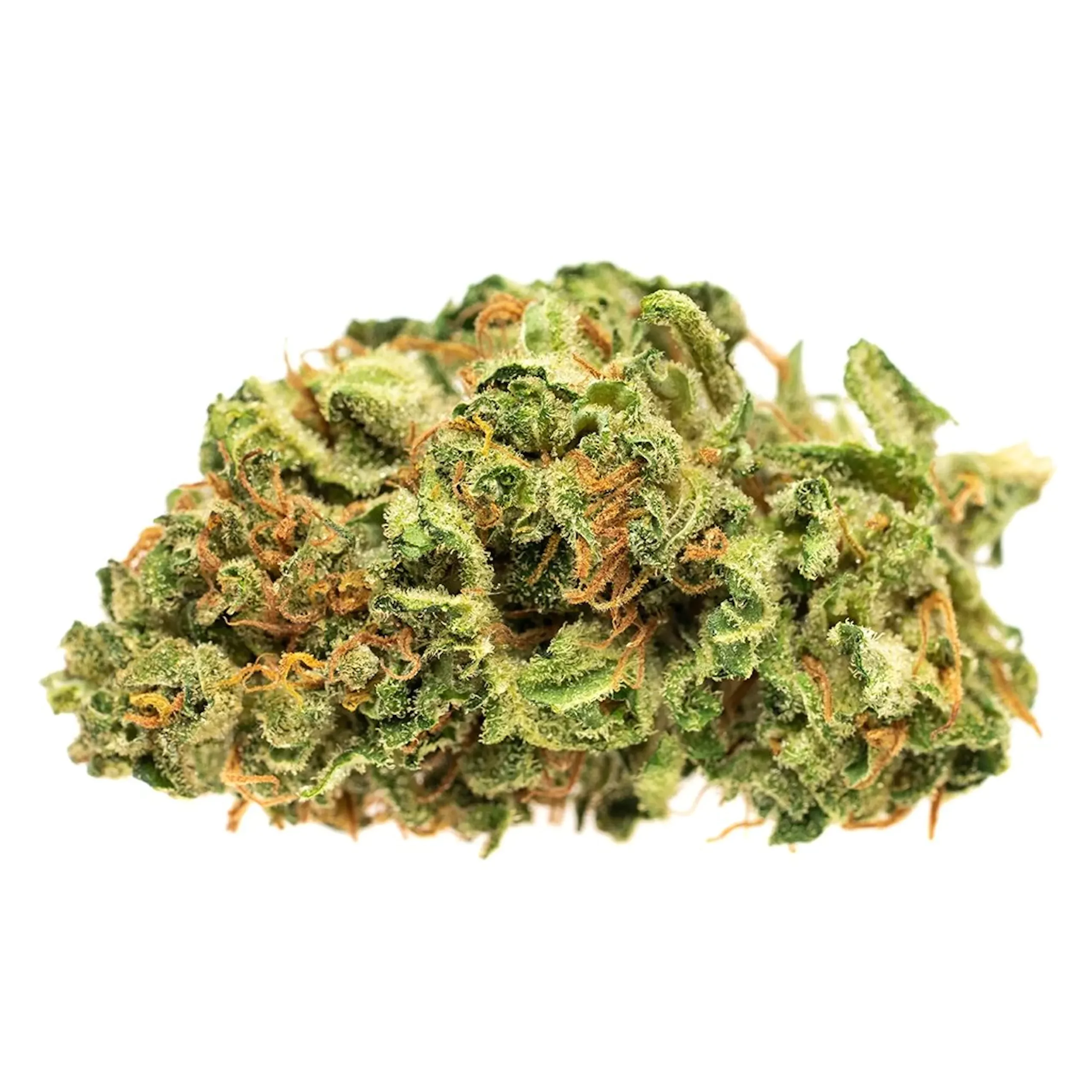 weedistillery-tahoe-og-trips-3a-scaled-1.webp Gorilla Og (DUBS/2A) - Image 1