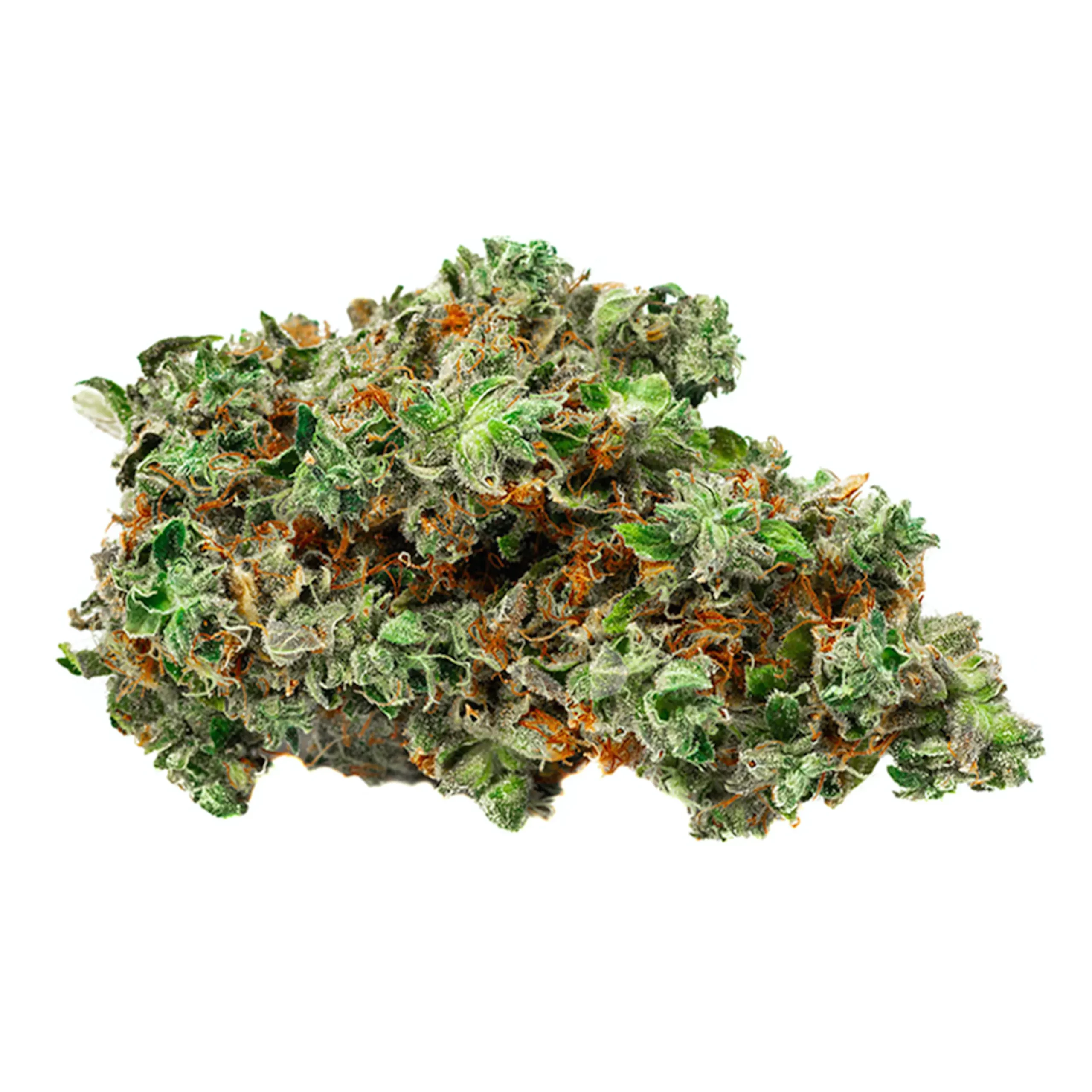 weedistillery-tropical-runtz-quads-4a-scaled-1.webp Tropical Runtz (QUADS/4A) - Image 1