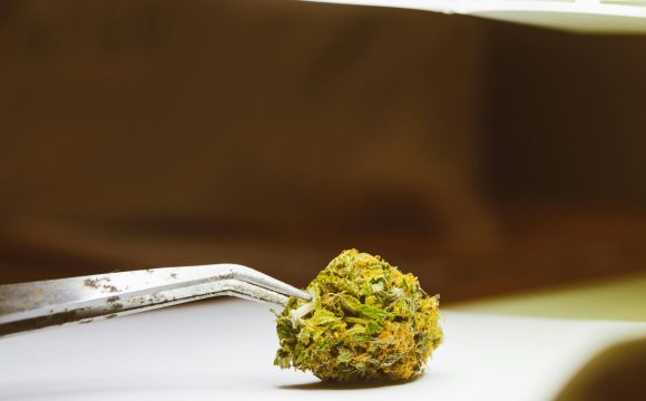 pexels-jess-vide-9259990 pexels-jess-vide-9259990