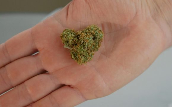 pexels-kindelmedia-7773104 pexels-kindelmedia-7773104