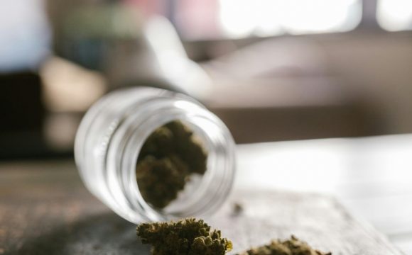 pexels-rdne-8139074 (1) pexels-rdne-8139074 (1)