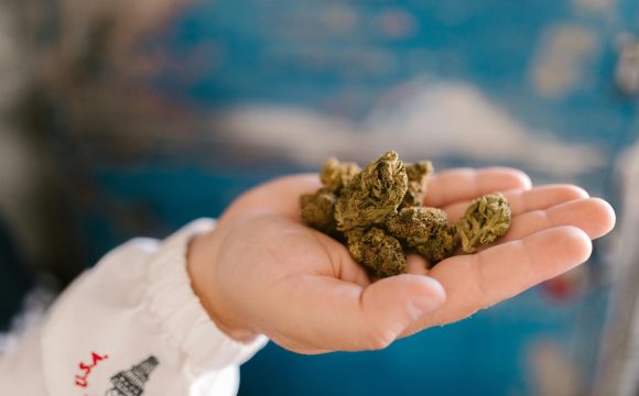 pexels-rdne-8139099 pexels-rdne-8139099